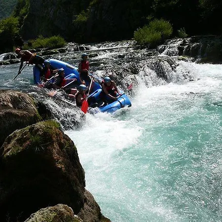 Bravo * Bihac