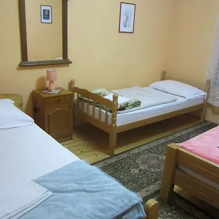 Guest house Bravo *
